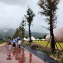 금모래가든 | 포천 가을축제 2025 한탄강 가든페스타 후기(포천 아이와 가볼만한곳)