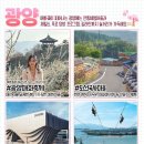 금강섬진강원 Daum카페