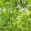 춘양오일시장 이미지