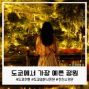 반딧불 | 도쿄에서 가장 아름다운 정원, 친잔소 야경과 반딧불 후기
