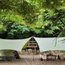 가가오토 이미지