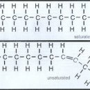 포화지방산, 불포화지방산 이미지