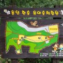 용인아이숲유아숲체험원 이미지