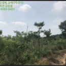 시묘보건진료소 이미지