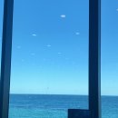 봉포차 | 봉포머구리집 강원도 속초 물회 맛집 방문 후기