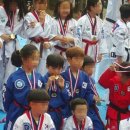 용인대KAT태권도 이미지