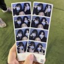 폭스브롯 이미지