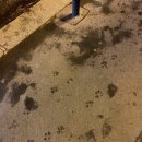 우리탑약국 이미지