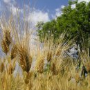 봉산중학교 이미지