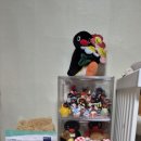 🧸내추럴발란스 L.I 그레인프리 레시피 닭 고구마 스몰브리드 후기🧸