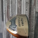 골드골프클럽 이미지