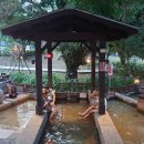 골드패밀리농장 | 대만 이란여행 카발란증류소 양조장 카비바라 농장 투어 -내돈내산 상세후기