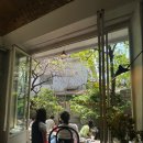 강남THE베스트공인중개사사무소 | [압구정 로데오] 분위기 좋은 도산공원 브런치, 퓨전요리 맛집 <꽁띠드툴레아> &amp; 크레페 맛집 <코제트...