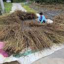 솔바람권역마을 이미지