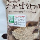 2024년산 유기농 검은밀 / 토종앉은뱅이밀/ 통밀가루/통밀쌀 이미지
