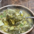 원조청도추어탕 | 청도 의성식당 본점 ｜청도역 앞 추어탕거리, 3대를 잇는 원조 할매 추어탕, 김치까지 완벽한 맛집