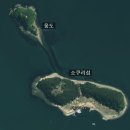 25시낚시 | 진해 소쿠리섬 백패킹 후기｜꽃사슴이 반겨주는 섬, 곧 사라질 풍경까지