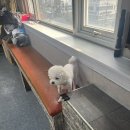 승학당구장 이미지