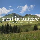 네이처짐 이미지