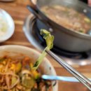 오산 독산성 샤브샤브 맛집 밀밭 후기(보리밥+칼국수)