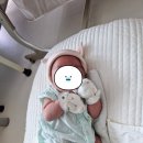 신지사 | 아산산후도우미 집안이 천국이 되는 사임당 천안아산지사 후기