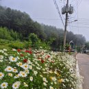 외국인학교-1구간 | 홍천 석화산, 아미산! 까칠하다