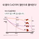고지혈증약영양제 COQ10(코엔자임Q10) 혈압에도 정말 효과있나?