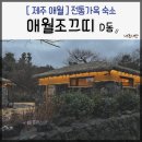 조끄띠 | 애월조끄띠(스테이곁) D동, 제주감성 제주도 애월 독채 숙소 프라이빗 자쿠지