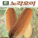 H0076 이미지