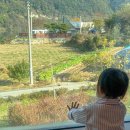 월하담 2 | 가평 신축 풀빌라 월하담 독채 펜션 아기랑 숙소 추천 후기