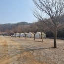 물꽃 캠핑장 이미지