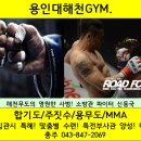 용인대 해천 GYM 이미지