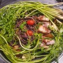 함박이네 애견샵 이미지