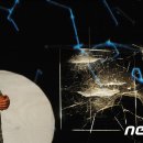 토마스 사라세노 <행성 그 사이의 우리> 이미지