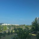 가내수공업 | [나주혁신도시 맛집] 쭈꾸미 볶음 &#39;가내수공업 나주혁신점&#39; 방문 후기