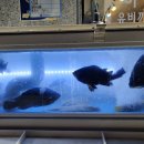 다잡아횟집 - 사상구 가야대로282번길 46 | 다잡아횟집