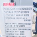 버스터미널 관광안내소 | 대마도 히타카츠 여행 국제여객터미널 버스 시간표 및 추천 코스