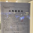 더 염색 살롱