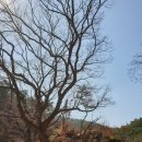 구립 대조스테이원어린이집 | 진관사 관람-북한산의 서쪽 고찰답게 많은 이야기와 고즈넉한 분위기, 주변 경관이 아름다워 3월 21...