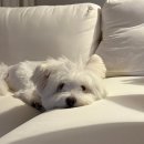 유하로R | 귀엽고 사랑하고 고마운 이야기