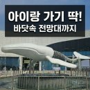 경상북도학생해양수련원 | 울진 국립해양박물관 (국립해양과학관) 아이랑 가볼만한곳 | 바닷속 전망대 후기