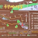 1237 이미지