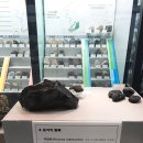 충남대학교 자연사박물관 이미지