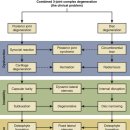 고든몸한의원 이미지