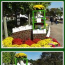 2025 드림파크 국화축제.2025.10.23.(4) 이미지