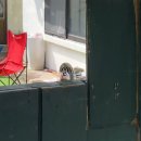 그린트리약국 이미지