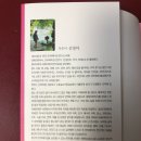 영스랩 안티에이징 연구소 네이버블로그
