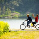 세븐일레븐 앞 이미지