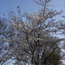 동천서로 이미지