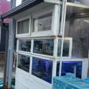 막썰어회해물 이미지